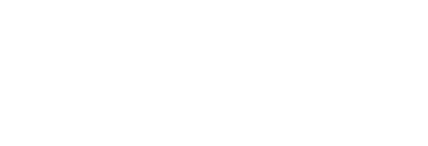 The Policy Academies